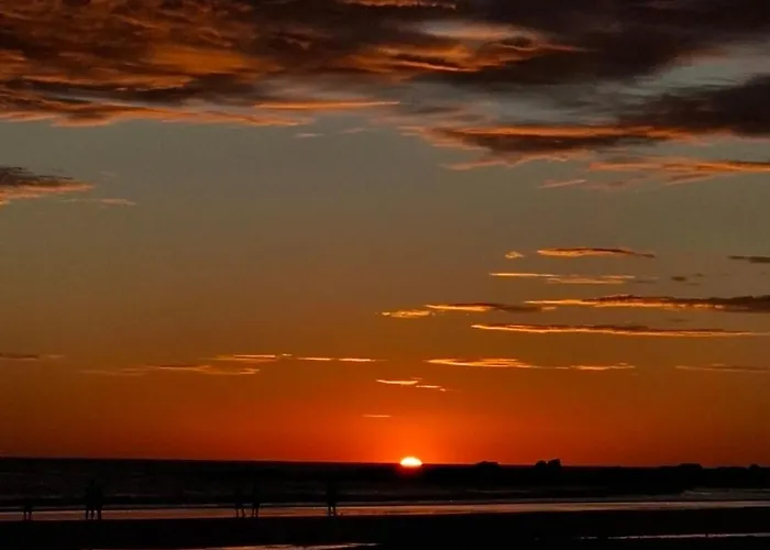 Barrigona's Dreams *